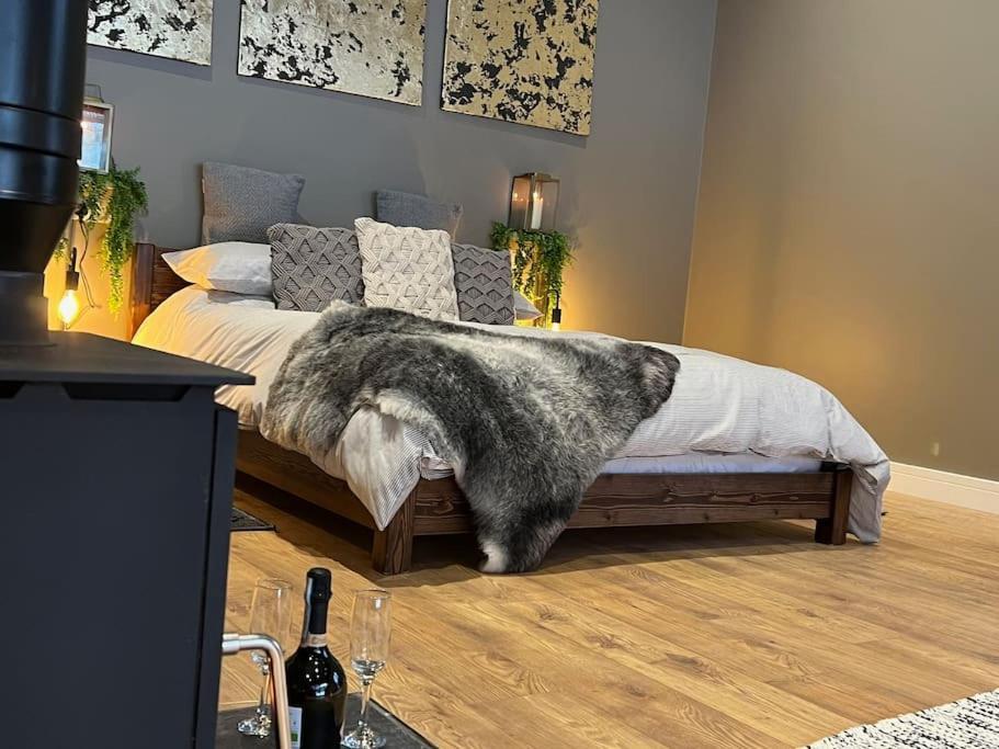 Quirky, Luxury Hideaway Villa Llanbrynmair Luaran gambar
